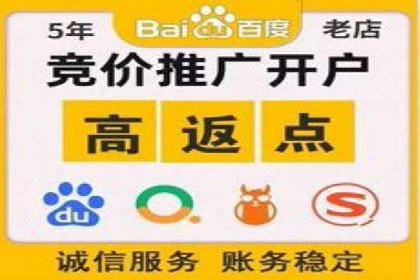 SEM主管实战：案例分析与优化策略
